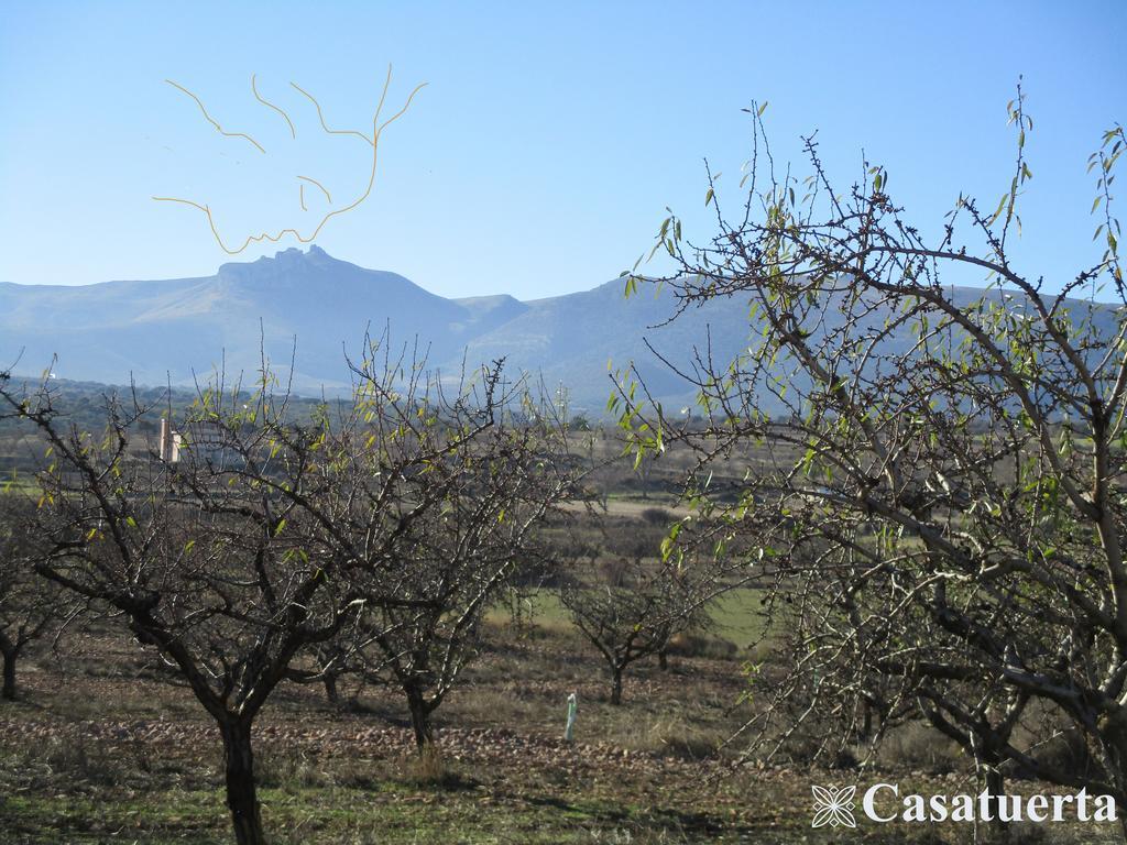 Вілла Casa Tuerta Alcala de Moncayo Екстер'єр фото