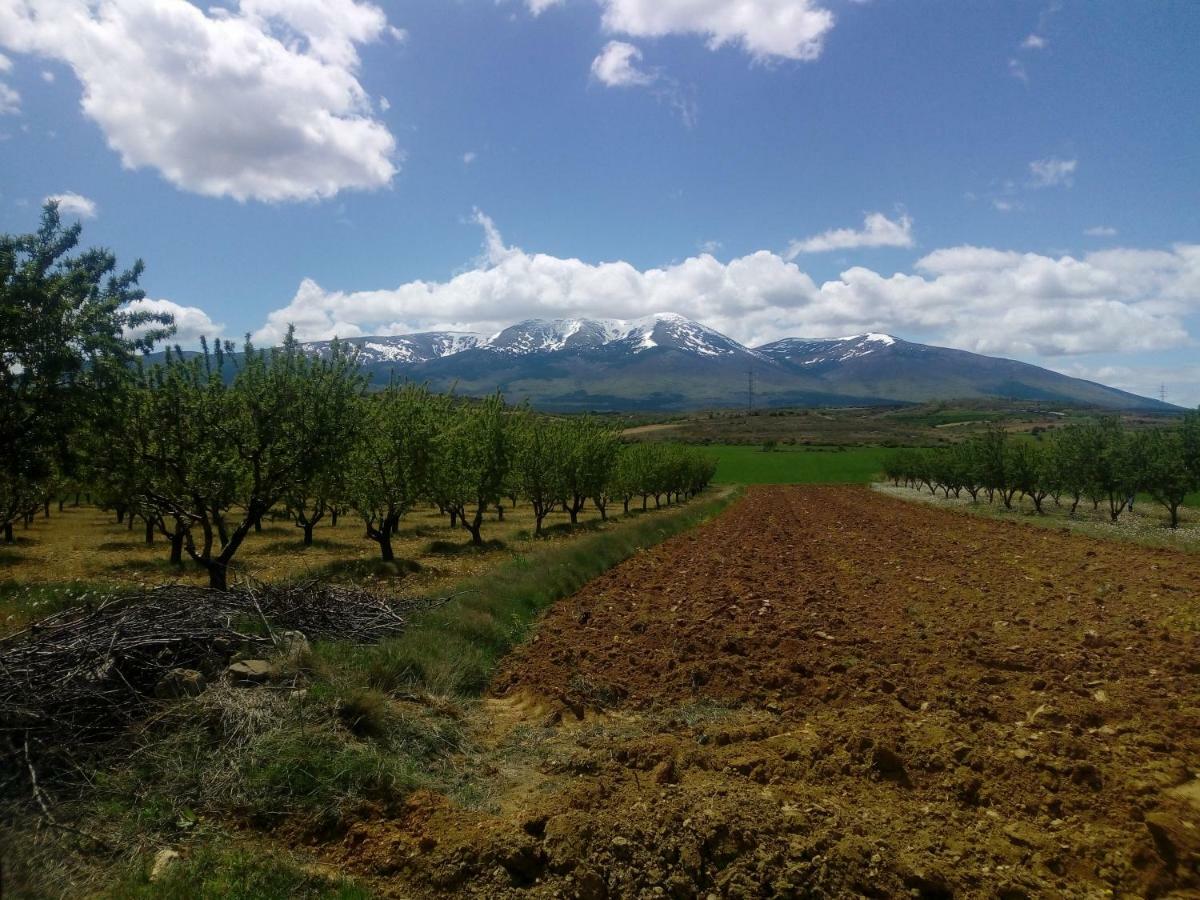 Вілла Casa Tuerta Alcala de Moncayo Екстер'єр фото